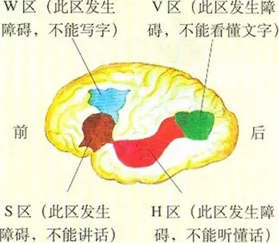 作者其他文章