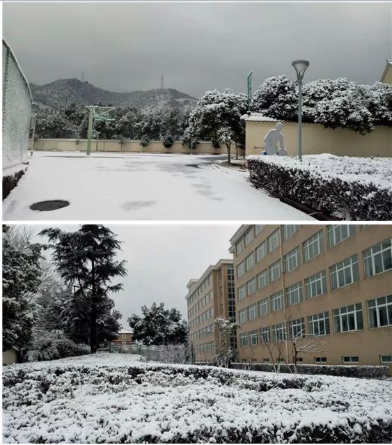 【鹿山中学】雪后的校园美不胜收 - 杭州市富阳区鹿山中学 - 之江汇