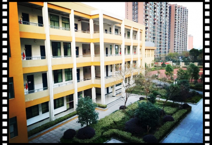 东城小学概况 杭州师范大学东城小学 之江汇教育广场