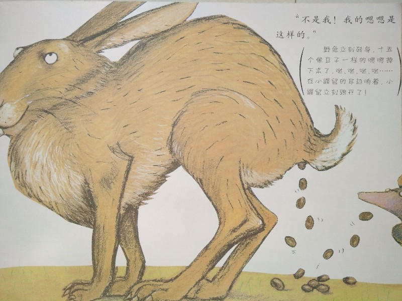 《是谁嗯嗯在我的头上》绘本