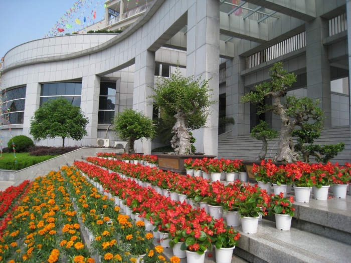天台县赤城中学
