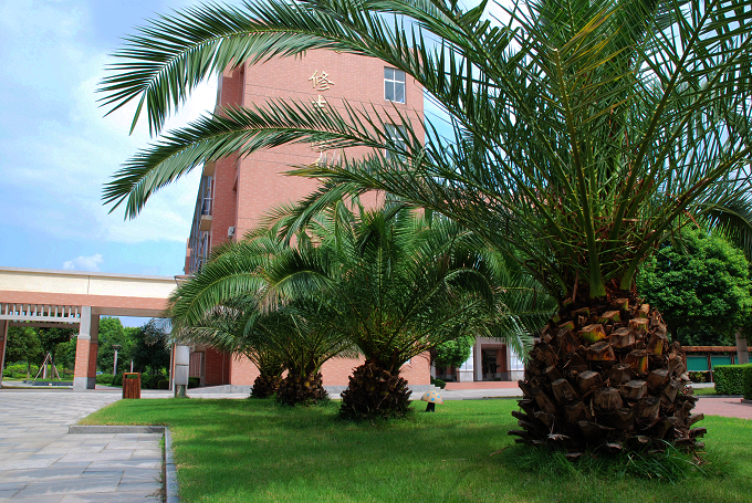 龙赛中学学校概况 - 宁波市镇海区龙赛中学