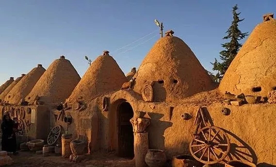 牛贵波名师工作室-之江汇教育广场