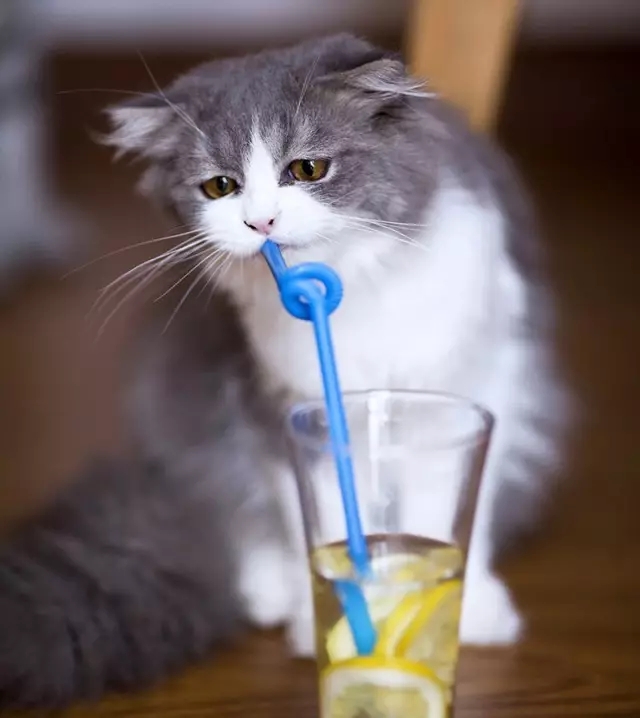 不知道大家有没有发现,我们在用吸管吸饮料的时候,吸管里的水也会比杯