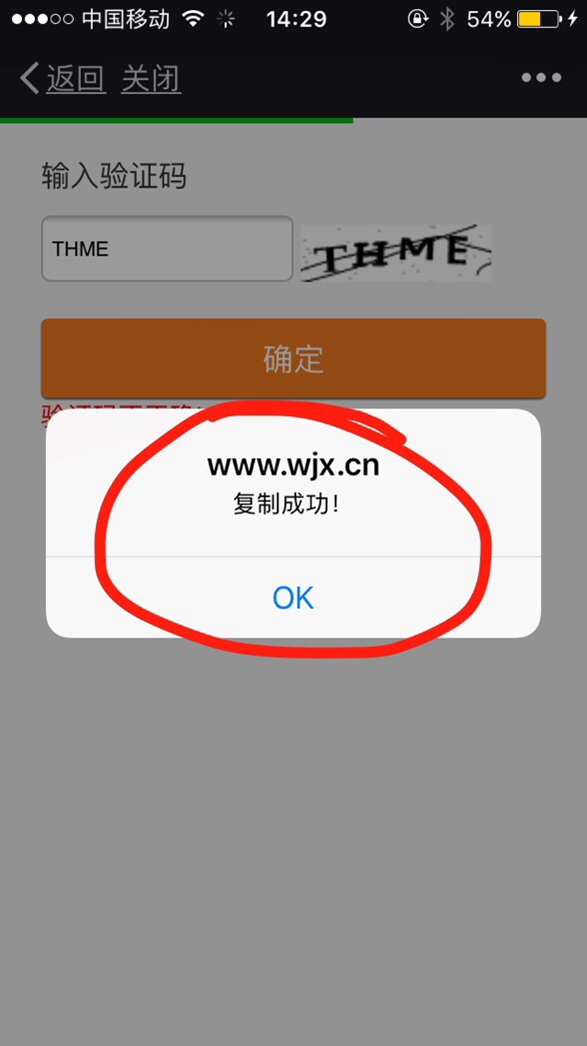 验证码不能复制怎么弄出来呢苹果