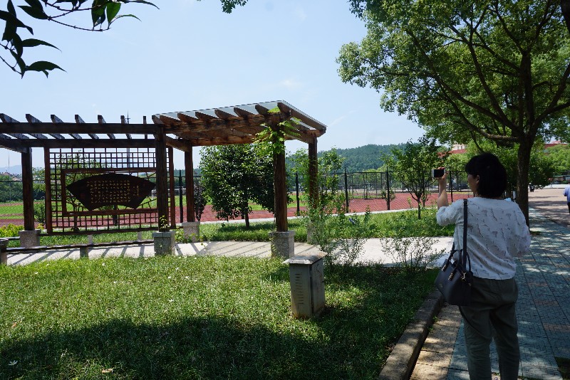 创建园林式校园让文化与绿化更和谐