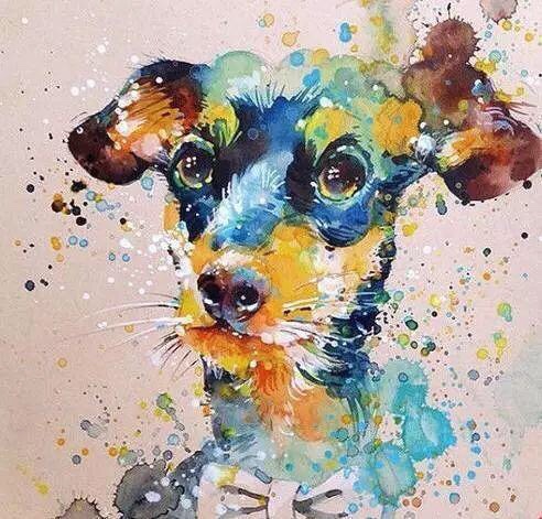 邱锋名师工作室