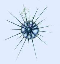 方淳名师工作室