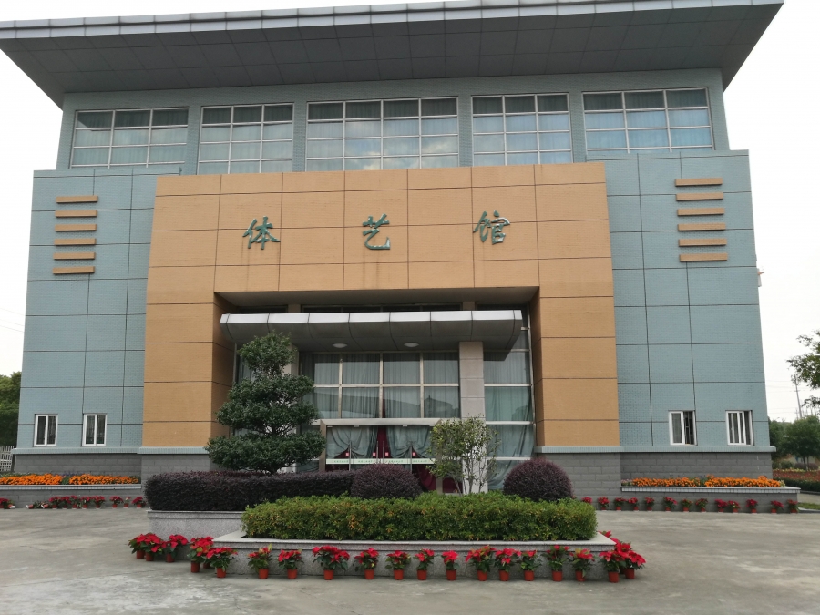 桐乡市凤鸣天女中心小学