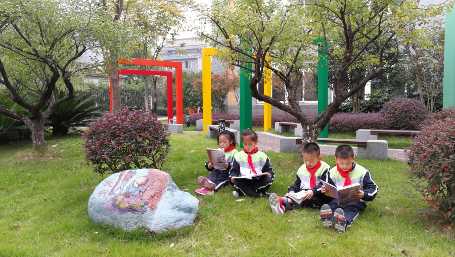 桐乡市凤鸣天女中心小学