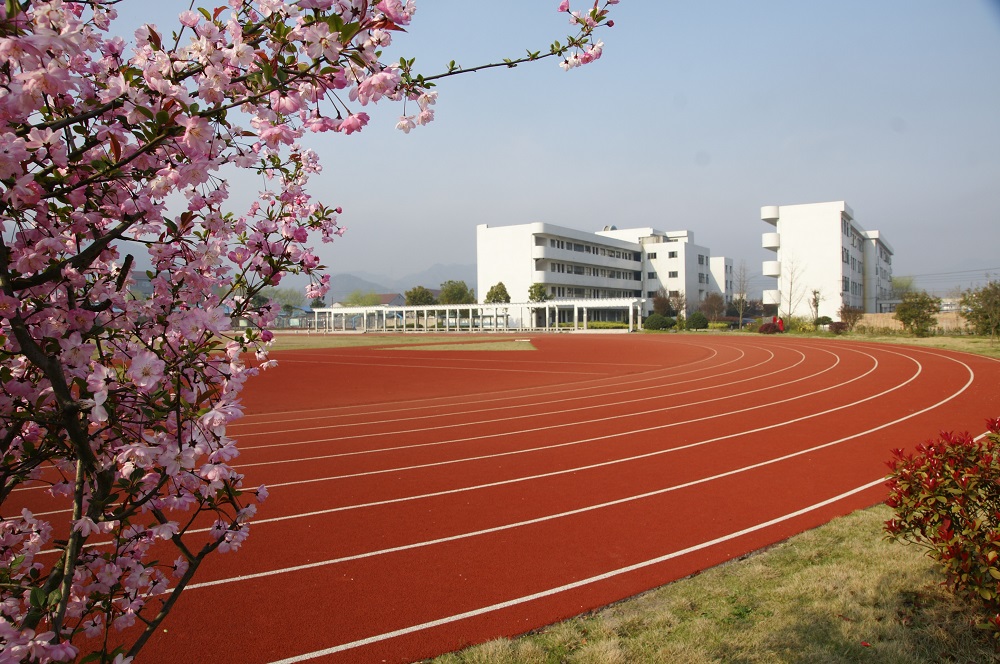 校园风采 - 东阳市南马镇初级中学 - 东阳市智慧教育公共服务平台