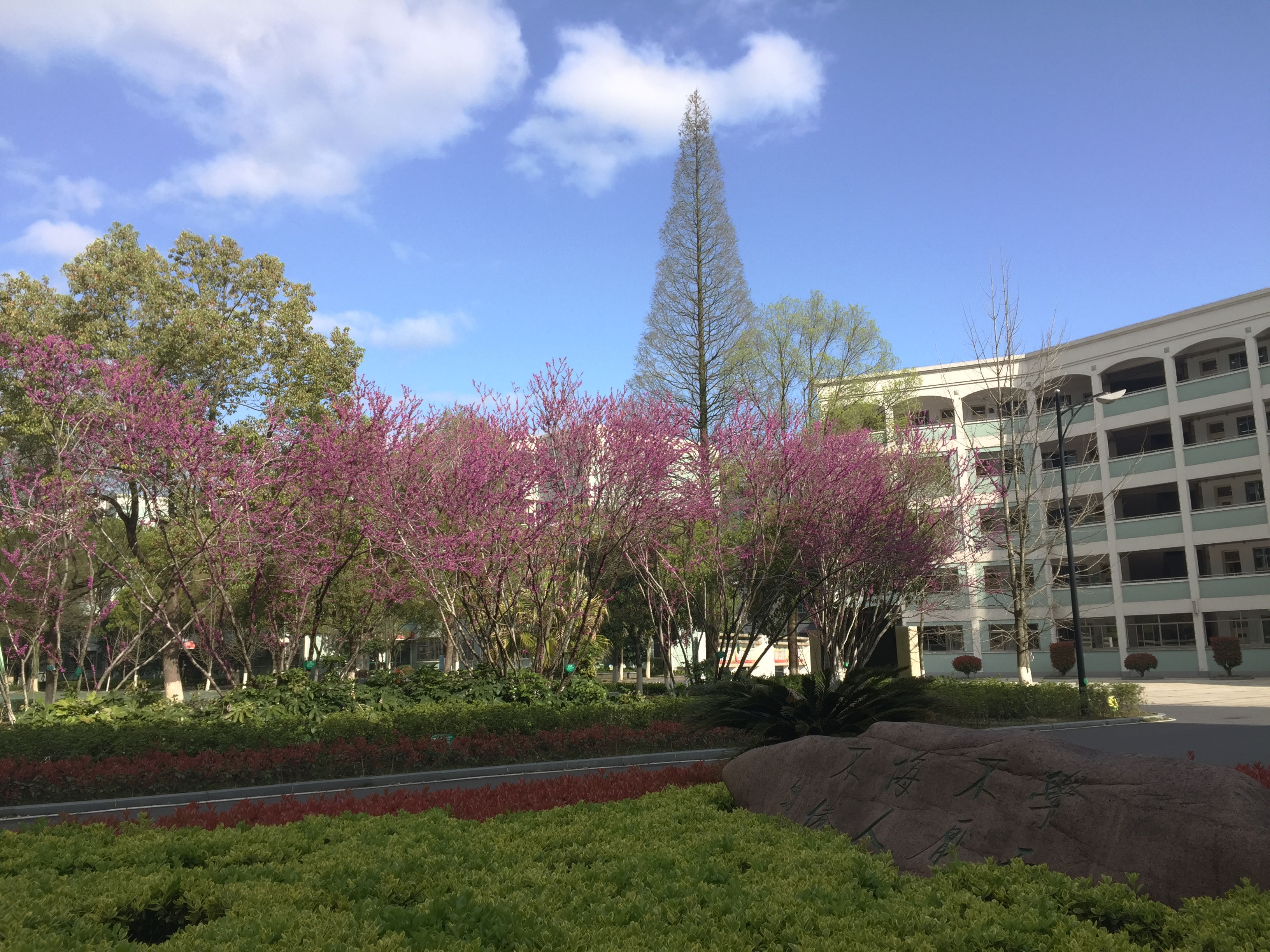 衢州华茂外国语学校