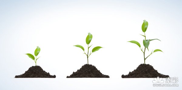 从培训到生产力的"五步法则"(来自网络)