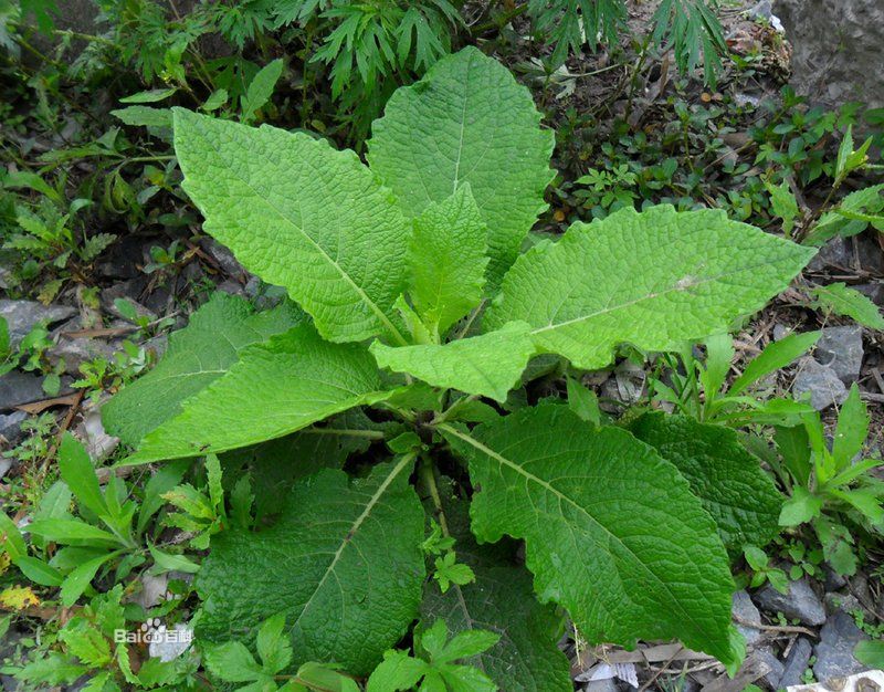 绍兴市北海小学教育集团科学基地校