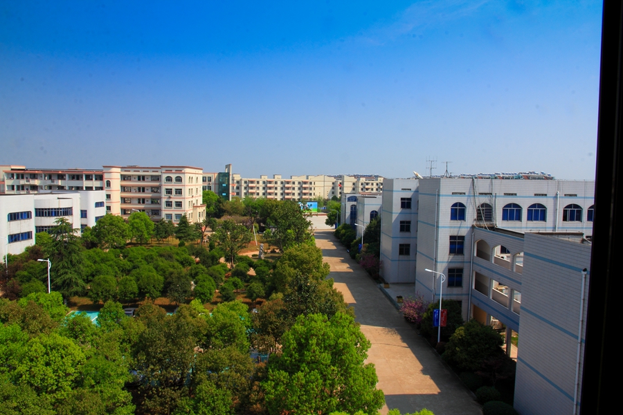 浙江省龙游中学