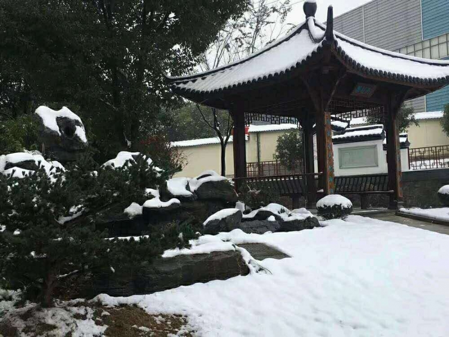 富阳区鹿山中学图片