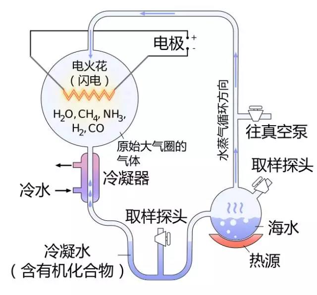讲科学2016-04-13是究竟哪些不可或缺的要素催生了地球人类和人类文明