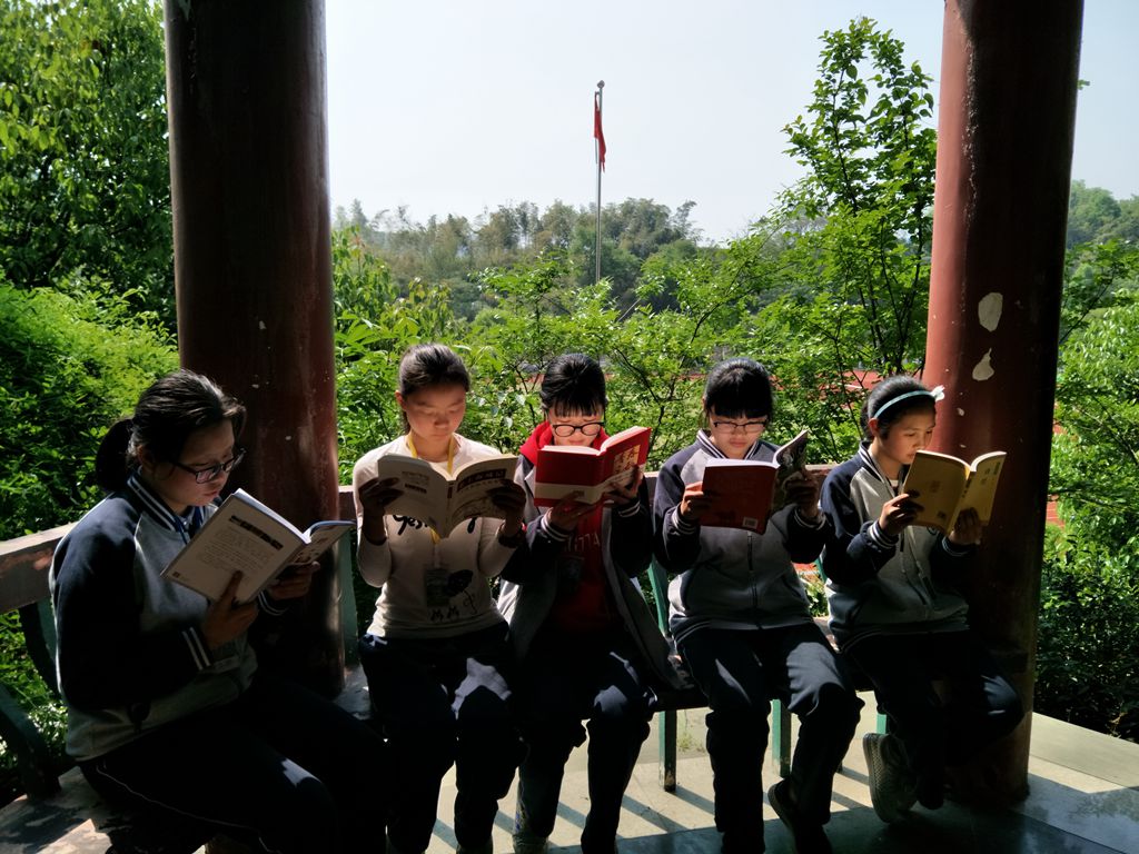 杨汛桥镇中学教育集团发挥学校图书馆资源优势打造书香校园