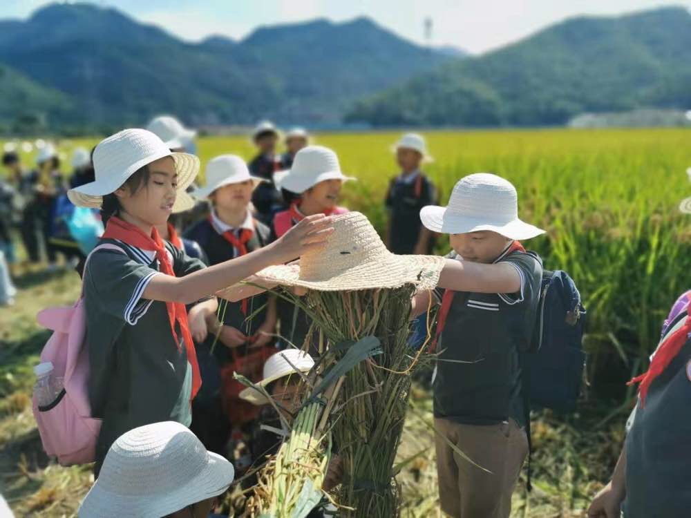 闻堰小学秋季研学课程(下农田 萧山区闻堰小学