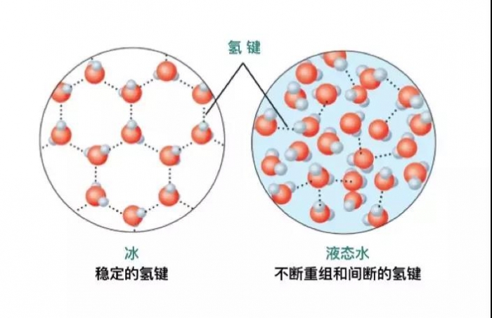 跨学科概念6 结构和功能