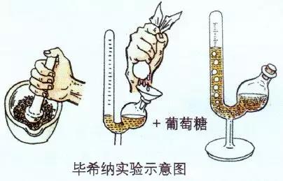 名师工作室移动端