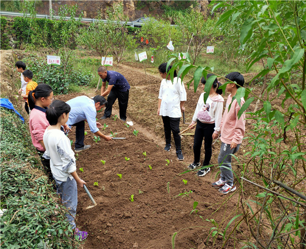浦阳五小学农园活动是我们一直在做的事情,让孩子们积极地参与到劳动