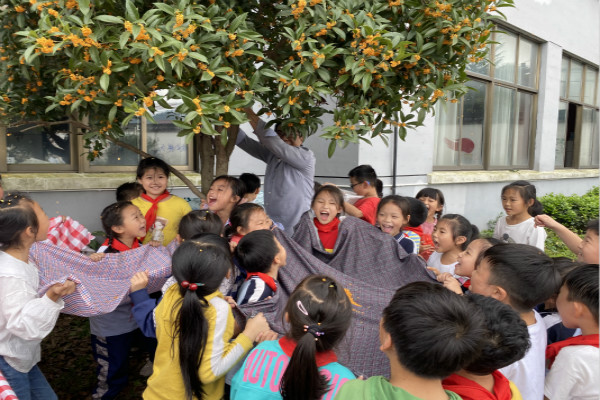 赏桂摇桂桂花美食郑家坞中心小学举行多彩桂花节