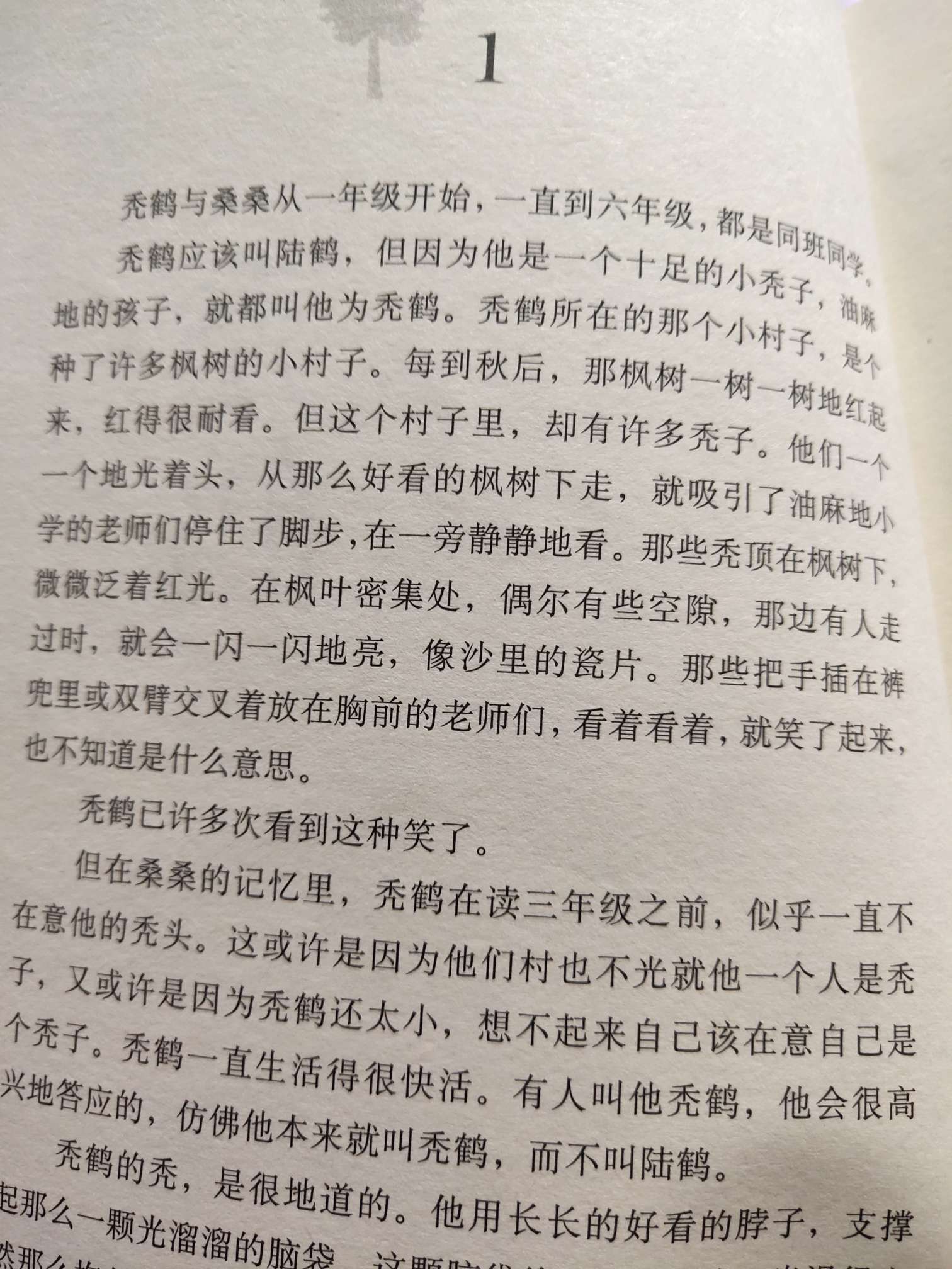 阅读札记《草房子》