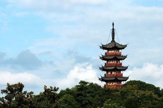 四(11)班  阮炜然我们的校歌第一句是"飞来山下,应天塔旁……",美妙