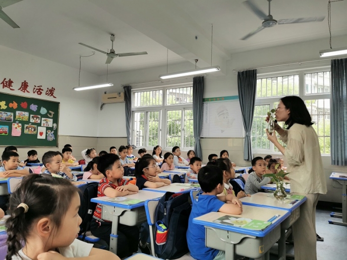 转变教学理念提高教学质量月河小学教育集团期初随堂听课
