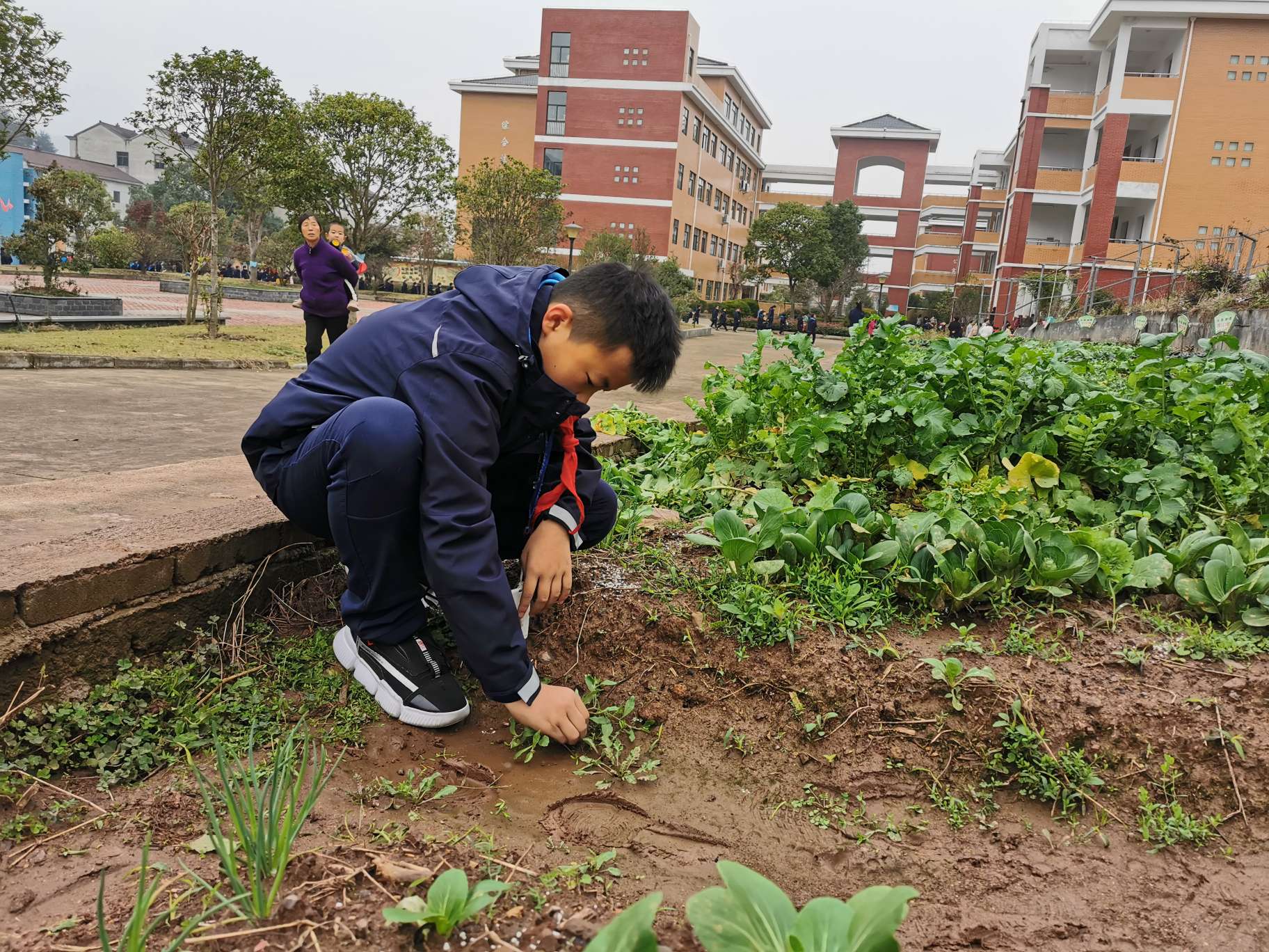 我們的種植園 - 東陽市千祥鎮三聯小學 - 東陽市智慧教育公共服務平臺